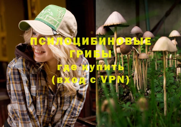 ECSTASY Куйбышев
